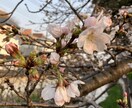 1分からOK！気分変調性障害当事者が寄り添います 症状/うつ病との違い/双極性障害との違い/悩み/不安 イメージ7