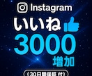 Instagram いいね3000増やします Instagramの投稿のいいね数を気軽に増やそう イメージ1