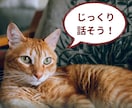 お話聞きます。お答えします ようこそ☺️たくさん話してスッキリしましょう イメージ1