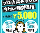 期間限定特別価格！プロが伝わるチラシ作ります ★初めての発注でも安心！クライアント様のイメージを形にします イメージ1