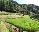 田舎移住×子育ての不安、相談のります 関東出身者から見た、田舎での子育て。メリット、デメリット イメージ4