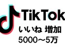 TikTokのいいねを5000増加させます 安心安全の拡散、宣伝！振り分け無料！ イメージ1