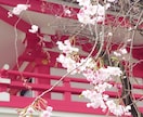 あのときの私へ—。　易占略筮法で占います ❇ もう後悔は手放しませんか ❇　“時空”を読み解く易鑑定 イメージ3