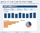 CSV・Excelをグラフ付きレポートにまとめます グラフ3種・A4横1枚のExcelレポート｜納期3日 イメージ2