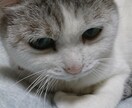 命理と易占(周易)であなたの恋の行方を占います 片想い.恋愛.不倫.離婚問題…男女の問題なら何でもどうぞ！ イメージ8
