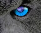 写真の加工、切り抜き、合成行います あなたのイメージ通りに写真を加工をします！ イメージ6