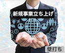 新規事業立ち上げ支援します アイディア出しや、ブレストのお手伝い(1時間ビデオチャット) イメージ1