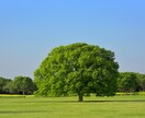 イメージワーク苦手な方のためのカウンセリングします イメージワークではなく話を聞いて！のためのカウンセリング イメージ6