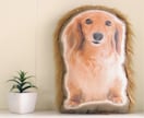 ペットロス　うちの子（犬　猫）のぬいぐるみ作ります 裏面のファーが、虹の橋を渡ったウチの子を撫でている様な感覚に イメージ10