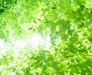 あなたの愚痴や言いたい不満や主張をお聞きします 我慢はもうここまで。胸につかえている事を吐き出しませんか‼️ イメージ2
