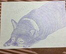 想像の5倍可愛いイラストを描きます 初心者なので、色々なたくさんのことに挑戦してみたいです！ イメージ4