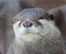 キャパオーバーなHSPさんのお話し聴きます アタマもココロもカラダも疲れ切っているHSPさんと話したい♡ イメージ4