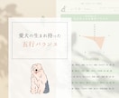 春のエネルギーと愛犬の生まれ持つ五行をひも解きます 愛犬に寄り添ったケアを取り入れて、暖かく幸せに包まれた春に イメージ2