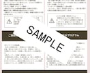 あの人との取り扱い説明書1枚の画像でお届けします 〜2人の相性とトリセツをまとめた、専用カスタムマニュアル〜 イメージ2