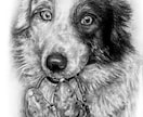 動物・写真から感動の一枚を制作します 「大切な家族の“今”を一枚の絵に」 イメージ7