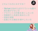 TikTokいいねを増やします いいね倍増で注目度UP！夢を形に★ イメージ5