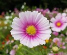 たった5分でもどんな内容でもあなたのお話聞きます 家庭や仕事の愚痴でも何でも話して下さい‼️受け止めます。 イメージ2