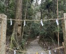霊視&カードで【恋愛】【複雑愛】【復縁】視ます お気軽にご相談下さいませ(鑑定後に遠隔ヒーリング付き) イメージ3