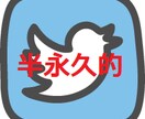 Twitterで1万人に”超”宣伝しまくります ※宣伝期間中の内容変更も可能※ イメージ1