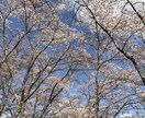 悩み相談、解決できるような内容を返信します メール確認後、すぐに返信します。 イメージ2