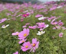 双子を2度出産したからこそ理解できる事あります 双子を2組育てた経験で得たズボラ、共有してみませんか？ イメージ1