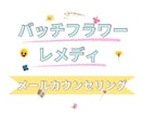 メール相談で、バッチフラワーレメディを選びます 辛い感情が癒やされ中庸になります。レメディを用意できる方に イメージ1