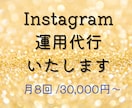 インスタグラム運用代行お手伝いいたします 忙しいあなたの代わりに運用から画像作成まで運用代行！ イメージ1
