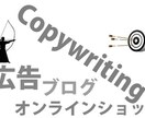 売上５倍！買うツボを刺激するコピーの作り方教えます 稼ぐ人は知っている。売上を倍増させるインサイトコピーの作り方 イメージ4