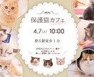 バナー広告・YouTubeサムネイル制作承ります 【最短納期1週間～】SNS向け広告などの作成 イメージ4