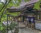 医学生が動画編集します 医学部医学科に在籍する医大生が動画、画像編集します！ イメージ3