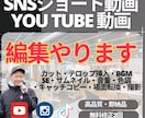 SNS用/youtube/対談動画 等編集します なるべく安くSNSショート動画作成・編集まで承ります。 イメージ1