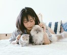 愛するペットの気持ちをタロットで読み解きます タロットでペットの本音を読み解き、あなたに伝えます！ イメージ2