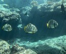 何でもお話しください。あなたの心に寄り添います 現在鬱進行系子供3人のシングルマザー！共に生きていきましょう イメージ4