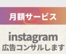 instagram広告の相談に乗ります 月額3万円で現役マーケターが広告の最適化を手伝います イメージ1
