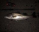 釣り初心者の方、お困り事を究極解決いたします 釣り初心者！釣り始めたい方が使うアドバイザー イメージ3