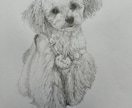 犬や猫の絵を描きます 画像からえんぴつや顔彩で絵を描きます。 イメージ6