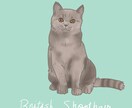写真を元にペットイラスト作成します みなさまのお家のかわいいペットの記念になるお手伝いいたします イメージ9
