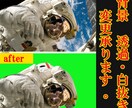 30枚納品／画像＆写真の透過・白抜き仕上げます 背景の透過や白抜き・切り抜きを行います！ イメージ1