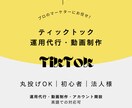 TikTok運用代行します 英語対応可｜初心者〜法人｜集客・ブランディング・採用支援 イメージ1