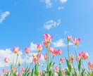 ちょこっとOK！繊細さんのお悩みお聞きします キャパオーバーになる前に。悩みの芽を摘んでいきましょう イメージ7