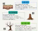 6つの自己肯定感を診断します その生きづらさ、理由があります イメージ6