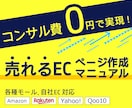 EC(モール/自社)売上UPの具体的手法を教えます 企業様に行うコンサルレクチャー約3回分の内容を凝縮した教材 イメージ1