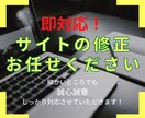 お持ちのWebサイトを修正いたします 一箇所でも親切、丁寧、一生懸命に仕事します！ イメージ1