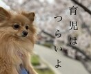 ペットやお子様の写真でLINEスタンプお作りします お気に入りのお写真からスタンプをお作りします！ イメージ5