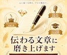 プロの言語力であなたの文章を添削します スピーチ全国入賞×元大学講師が「伝わる文章」に仕上げます イメージ1