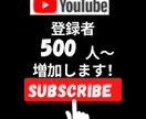 YouTubeの登録者を増加します YouTubeの登録者を500人〜増加します！ イメージ1