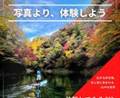 魅せる・伝わる・目に留まるバナーお作りします 丁寧なヒアリングで、初めての方も安心してご依頼いただけます。 イメージ8