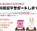 リアルな経験で！韓国留学/準備サポートします エージェントよりも手軽で身近に、留学経験者がお手伝いします！ イメージ1