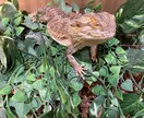 チャットで4往復 キャリアなんでも相談お聞きします キャリアカウンセラーによる就職、転職、キャリア相談 イメージ1
