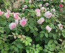 うつ？苦しい貴方の心のお話し聞きます 横になっててもいいよ　ずっとここにいます。 イメージ3